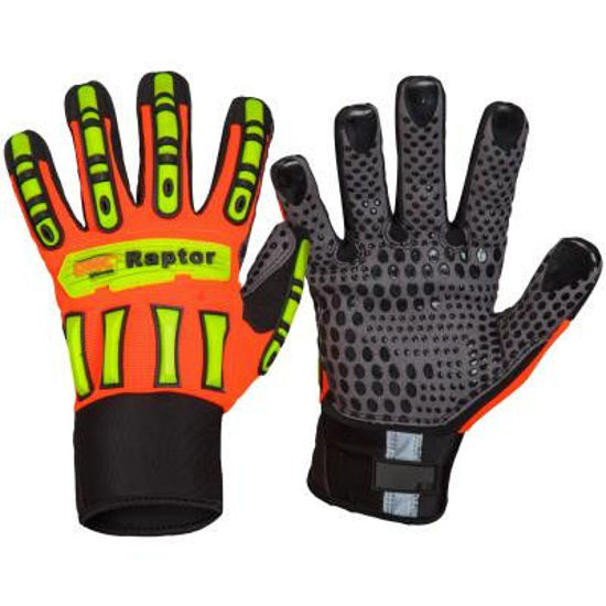 Picture of Dnc Raptor Glove gm21