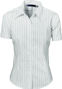 Picture of Dnc Ladies Stretch Yarn Dyed Contrast Stripe Shirt, Short Sleeve 4233